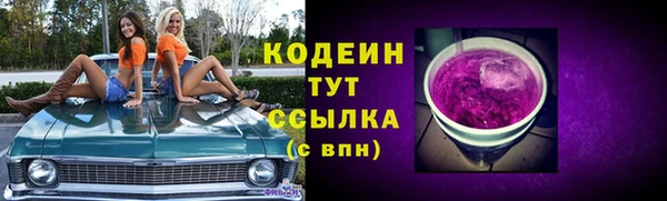 дмт Краснослободск