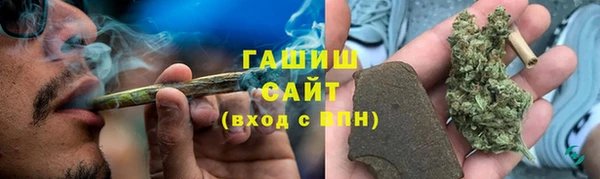 дмт Краснослободск