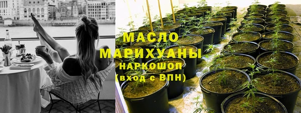 дмт Краснослободск