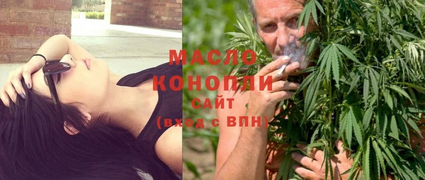 дмт Краснослободск