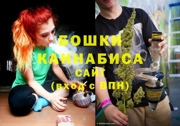 дмт Краснослободск