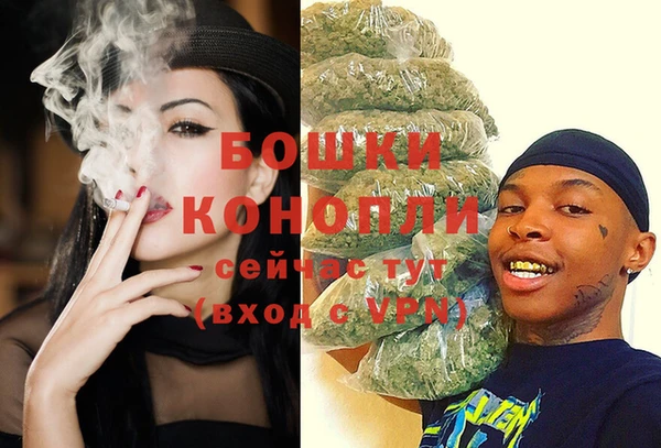 дмт Краснослободск
